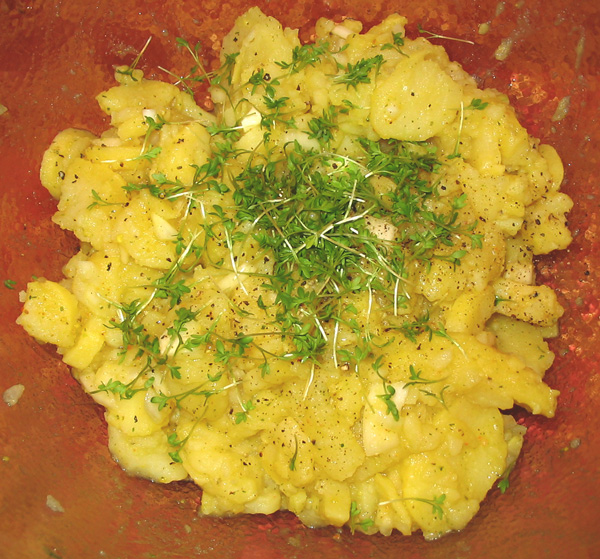 Bayerischer Kartoffelsalat | orange küche